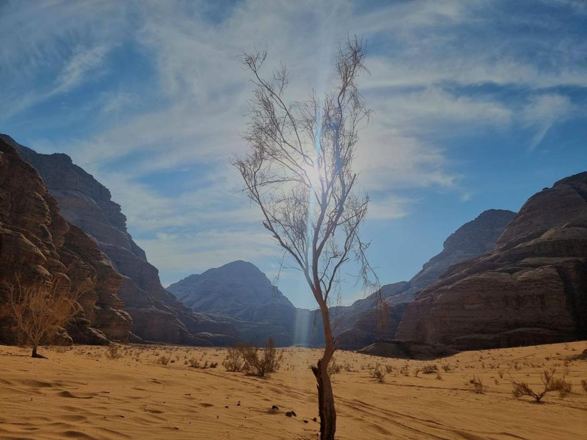 Wadi Rum Oscar Camp Kültér fotó